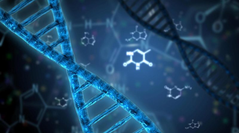دراسات علمية وأنتربولوجية وراثية جديدة حول الأمازيغ Na-13-JAN-DNA-strand-800x445