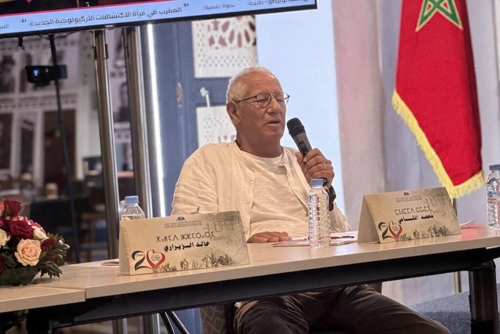 الشامي يدعو إلى تكثيف اللجوء إلى القضاء لضمان تفعيل ترسيم الأمازيغية